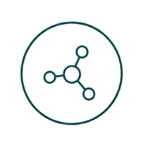 5 Pro-Enzymes
