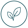 Plant-Powered